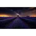 thumbnail image 2 of Ruiz Dueso, Jorge 18x13 Gold Ornate Wood Framed with Double Matting Museum Art Print Titled - Fields Of Castilla, 2 of 4