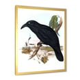 thumbnail image 2 of Designart 'Ancient Australian Birds VI' Traditional Framed Art Print, 2 of 4