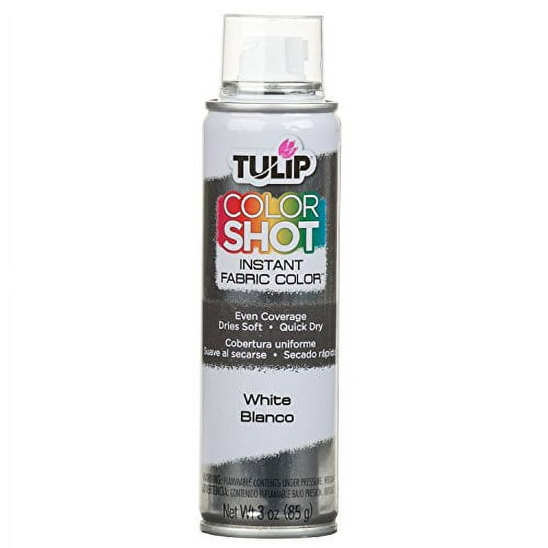 Tulip Color Shot Fabric Spray Paint, Red 3 oz 