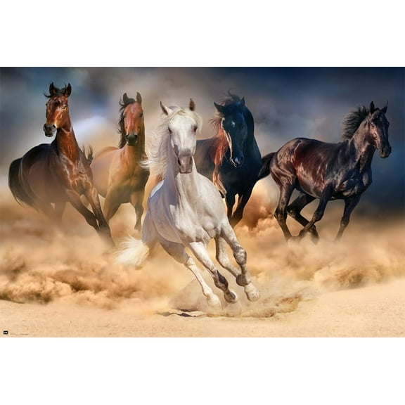 Five Horses Poster (36 x 24)