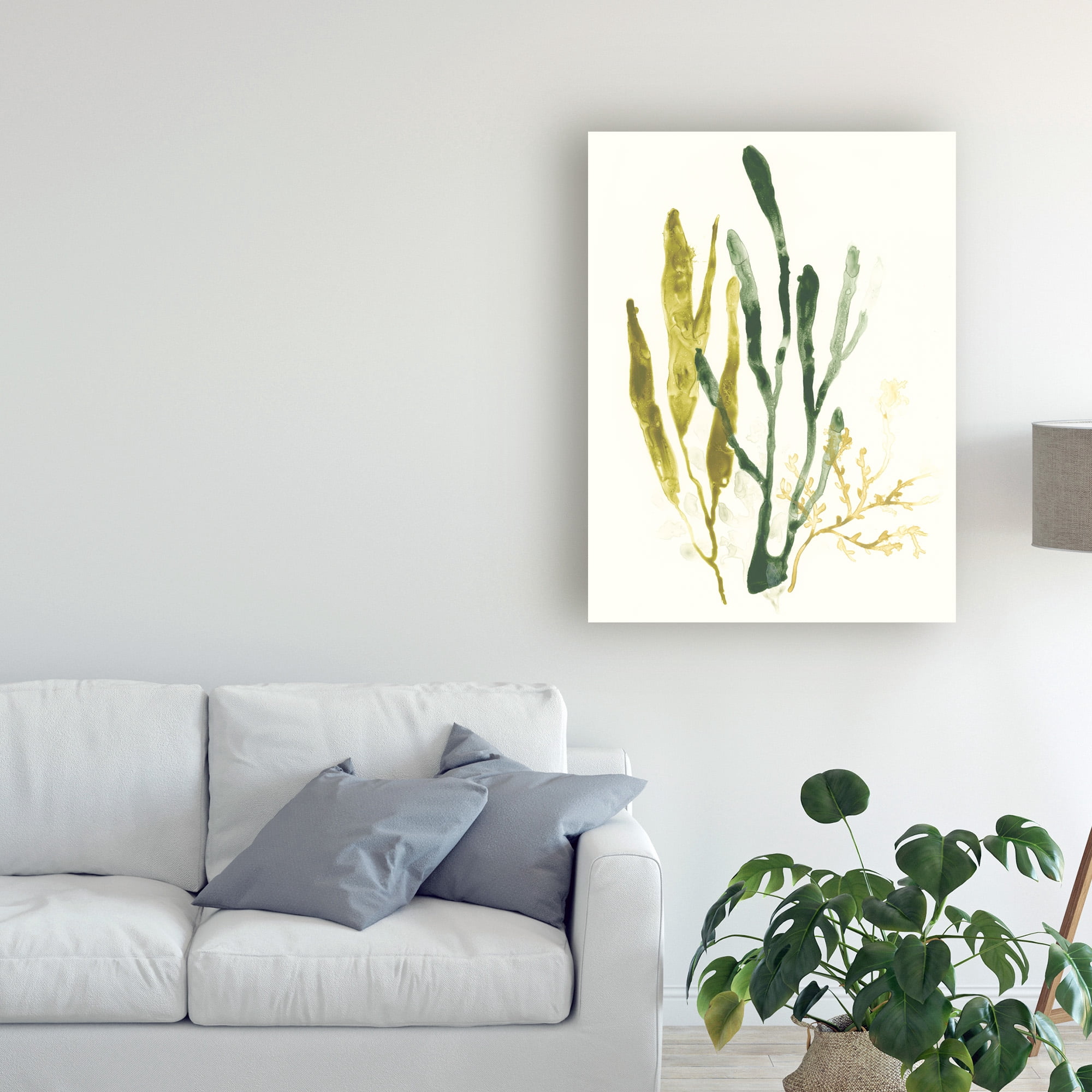 Trademark Fine Art 'Kelp Collection I' Canvas Art by June Erica Vess