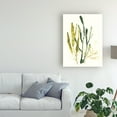 thumbnail image 3 of Trademark Fine Art 'Kelp Collection I' Canvas Art by June Erica Vess, 3 of 4