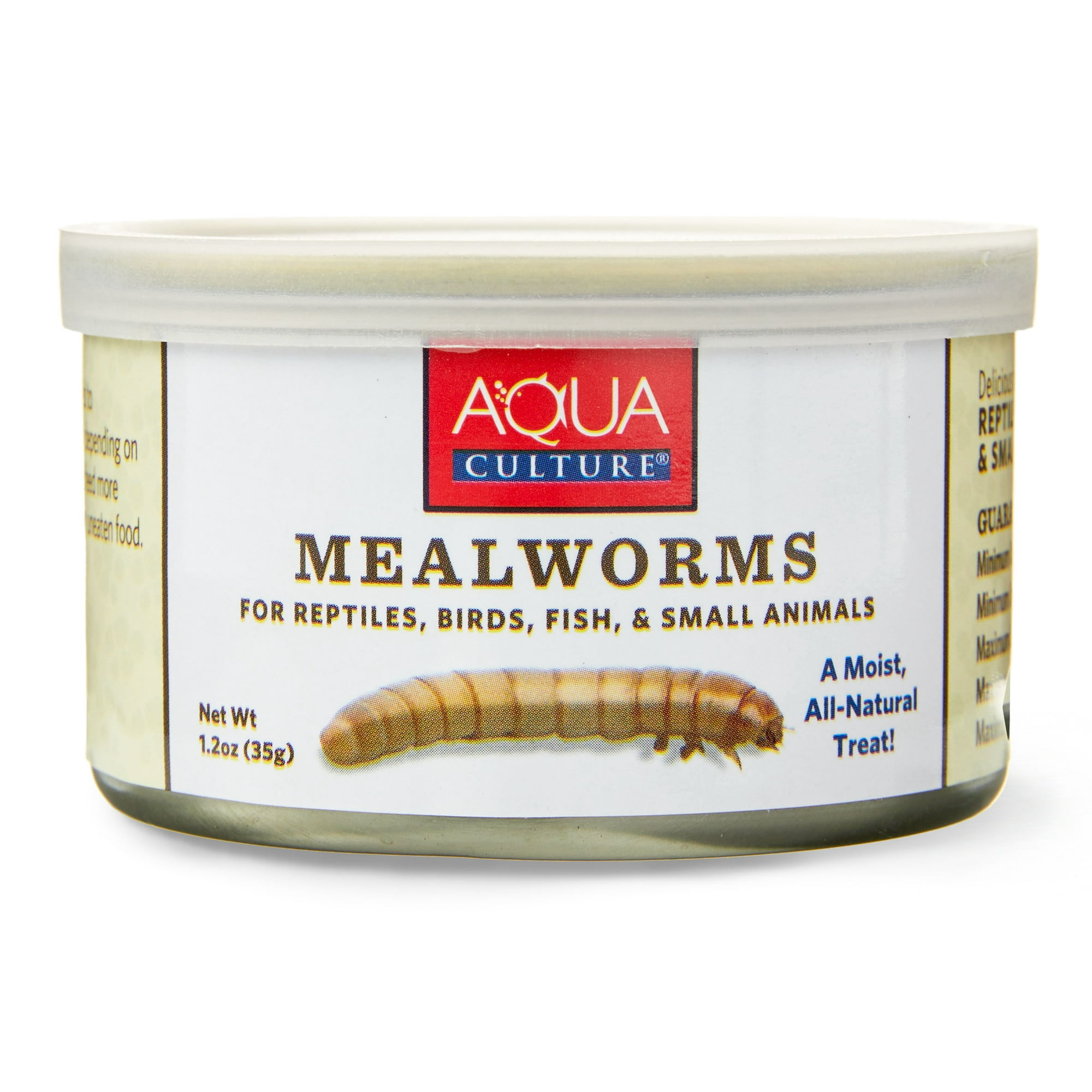 Aqua Culture Mealworms for Reptiles, Birds, Fish, and Small Animals, 1.2 oz