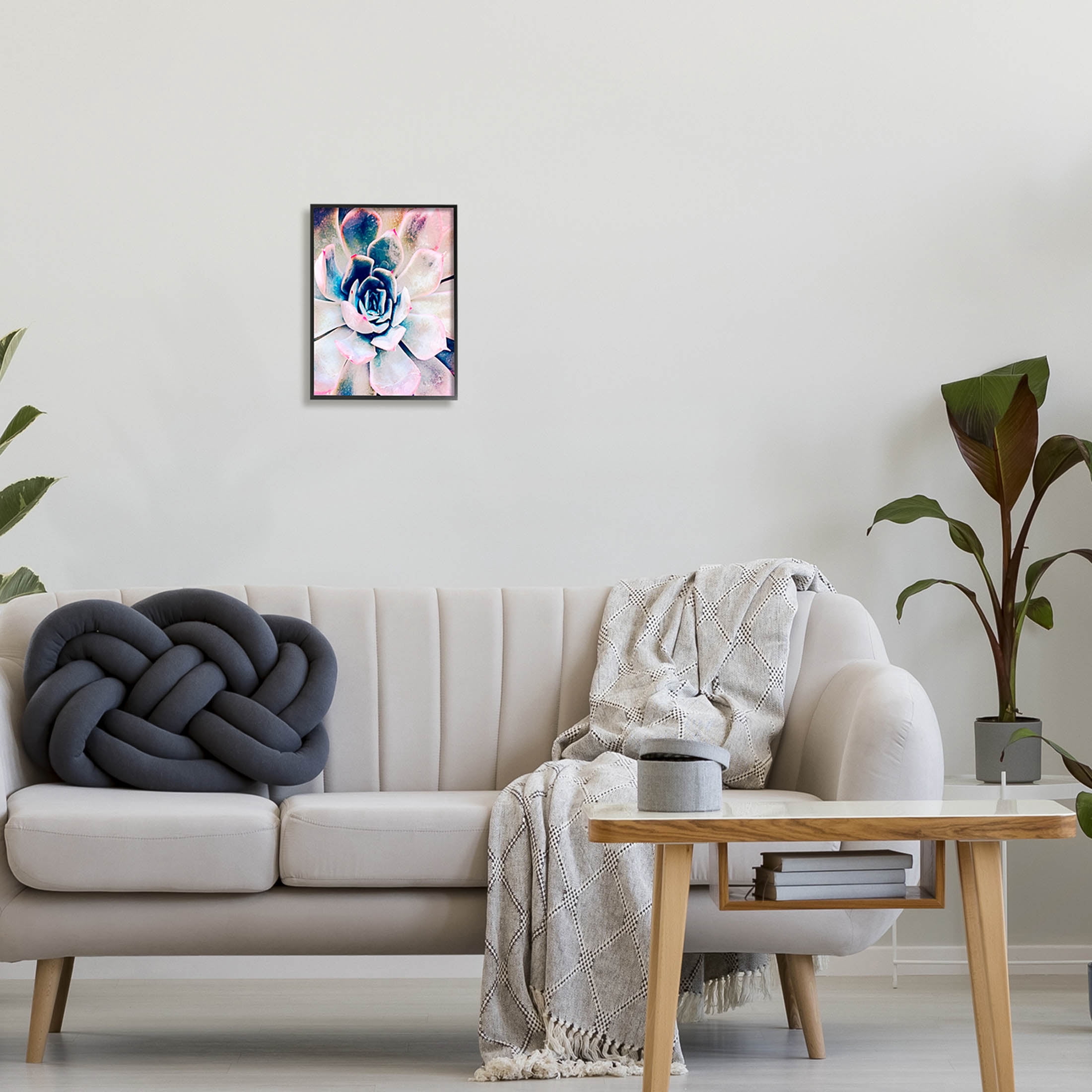 Modern Succulent Plant View Botanical & Floral Photograph Black Framed Art Print Wall Art