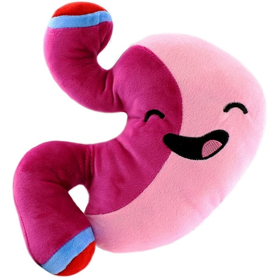 Attatoy Plush Stomach - Barry The Sleeve - 10-Inch After Surgery Pal, Bariatric Gastric Bypass Sleeve; Surgery Education, Surgeon Gift