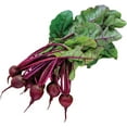 thumbnail image 3 of czcpp-Certified Organic Beetroot Seeds 'Detroit 2' by Minigarden – 100% Natural & Non-GMO, High Germination, Open-Pollinated & Reproducible – Perfect for Home Gardens & Farms – 200-300 Seeds, 3 of 4