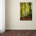 thumbnail image 3 of Trademark Fine Art "Pause" Canvas Art by Philippe Sainte-Laudy, 3 of 3