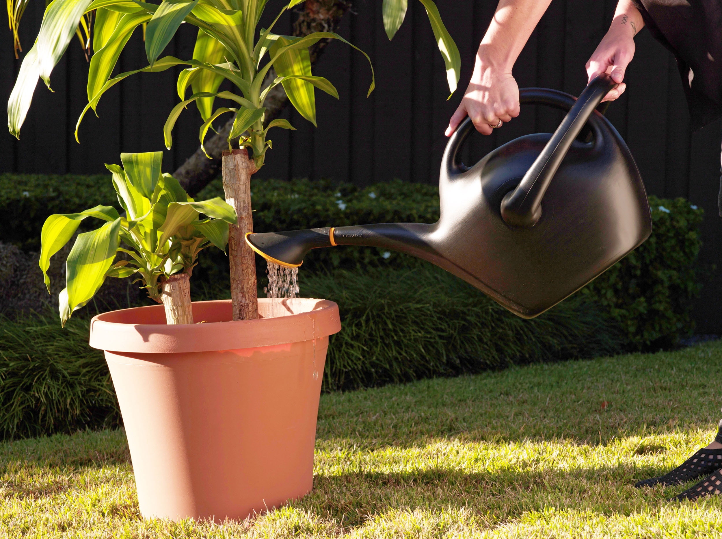 Bloem Plastic 2.6 Gal Watering Can - Black