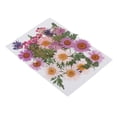 thumbnail image 1 of 25 mezclas das, hojas secas, relleno de muestras de plantas para decoración de uñas, álbumes de recortes, tarjetas, manualidades, resi UNA Gloria Flores secas prensadas naturales, 1 of 9