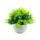 thumbnail image 2 of Adorno en maceta de flores falsas, decoración de bonsái Artificial, forma semiesférica pequeña, plantas falsas, bonsái de imitación para interior y Verde, 2 of 9