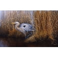 thumbnail image 2 of Goebel, Wilhelm 32x22 Black Ornate Wood Framed with Double Matting Museum Art Print Titled - Set In Gold - Great Blue Heron, 2 of 4