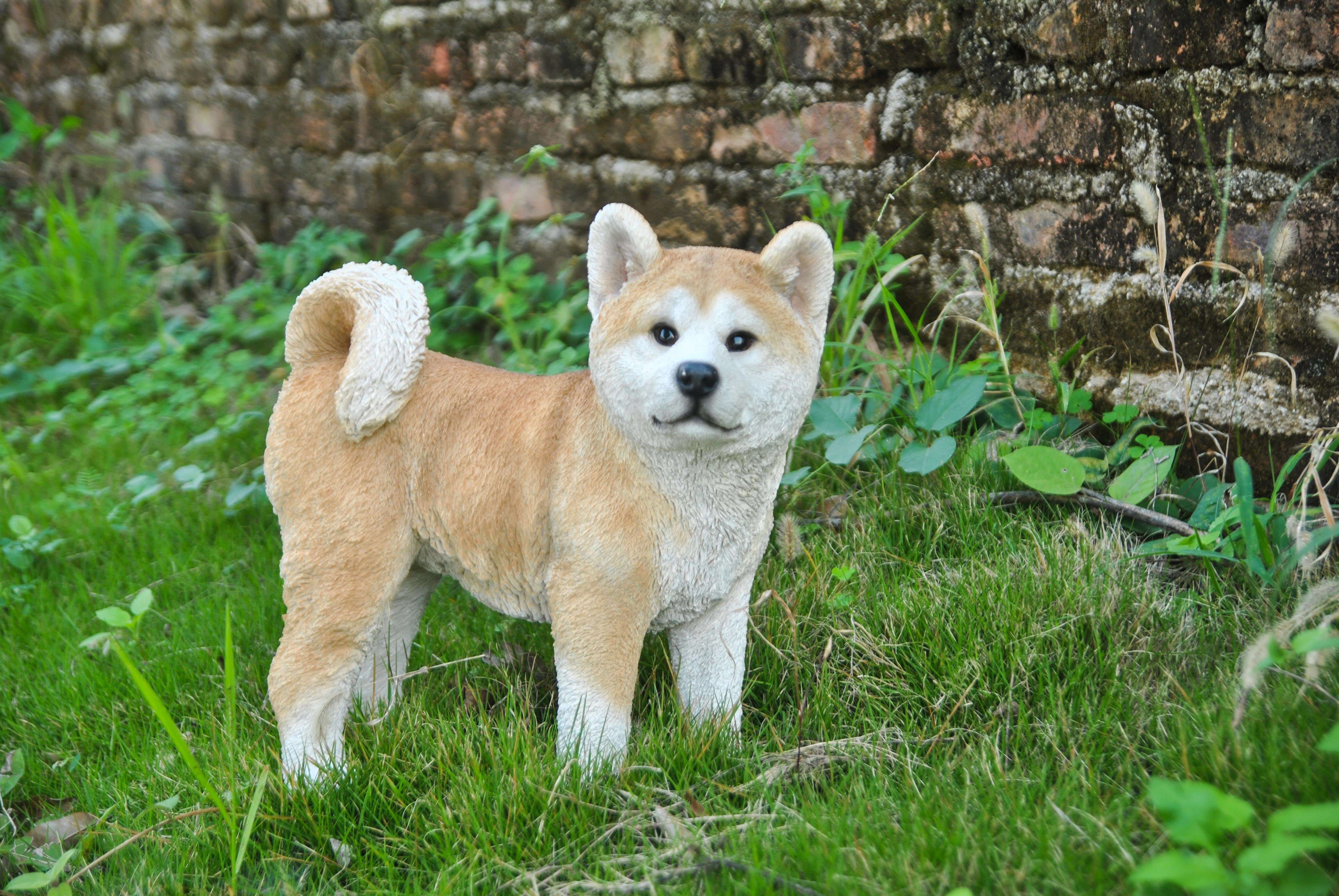 AKITA DOG STANDING STATUE - Walmart.com