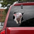 thumbnail image 2 of Funny Pig Cracked Car Sticker Car Window Meme Cattle Decal 12 X 12" Pvc Car Stickerpig 02, 2 of 2
