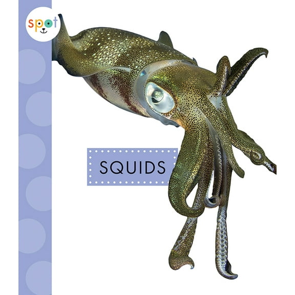 Spot Ocean Animals Squids, (Paperback)