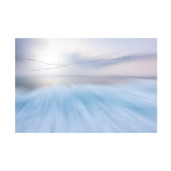 Canvas Wall Art - Uschi Hermann 'Fly Over' Wall Art for Living Room, Bedroom, or Office D?cor by Trademark Fine Art - 19 x 12 Inches