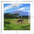 thumbnail image 5 of Art.com A Lone African Elephant (Loxodonta Africana) by Mt. Kilimanjaro, Amboseli Nat'l Park, Kenya Photographic Print by Miva Stock, White Frame Wall Art, 21" x 21", 5 of 5