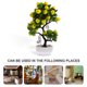 thumbnail image 5 of EeaseMX Faux Fruit Tree Artificial en maceta Limon Bonsai Decoración para jardín de fiestas, 5 of 8