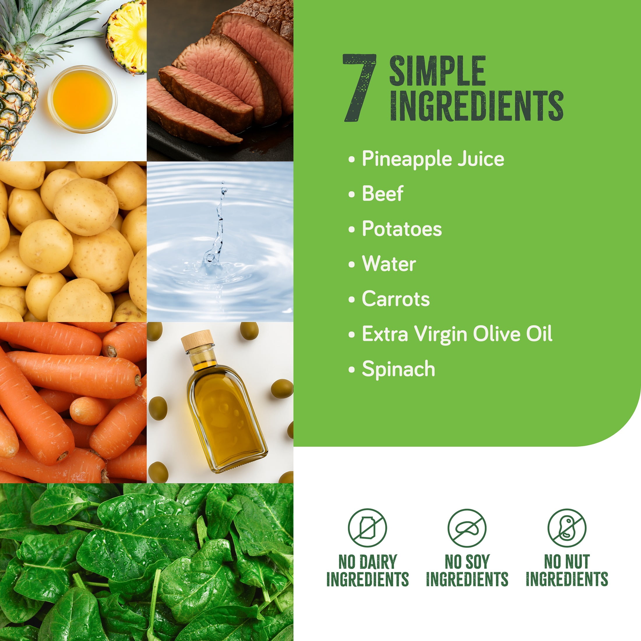 Real Food Blends Beef, Potatoes & Spinach - Pureed Food Meals for Tube Feeding with Protein, Vegetables & Fruits - 330 Calories for Lunch & Dinner - 9.4 oz (Pack of 12)