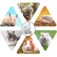 thumbnail image 4 of Botella de cerámica para mascotas JAMW dispensador de agua pequeño bebedero silencioso cuenco de comida para hámster cerámica blanca Sencillez, 4 of 4