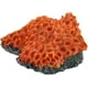 thumbnail image 3 of Adornos de acuario, suministros de resina para arrecife de Coral, decoraciones temáticas, accesorios para plantas acuáticas, peceras, 3 of 6