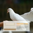 thumbnail image 5 of FRCOLOR Foldable Pigeon Cage Plastic Pigeon Domestication Cage Transportation Bird Cage, 5 of 5