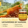 Honey Gardens Apitherapy Raw Honey Orange Blossom 100 Pure, US