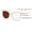 Ivory Photochromatic, variant on Women Large Oversized Progressive Clear Bifocal Reading glasses - No Line or Bubble - Zero Power on Top Wide Reader CR06 +1.50