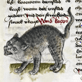 Weird Medieval Cats Calendar, Funny Weird Medieval Cat Calendar 2024