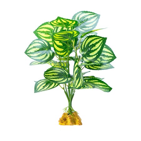 Decorative Plant Aquariums Plant Decorations Terrariums Tanks Decoration for Lizards and Snake