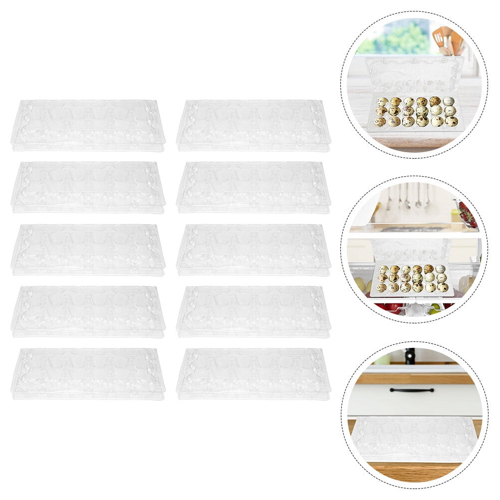 CATIEBYE Transparent PVC Egg Box for Storage Quail Egg Holder Container with Grid Design 40Pcs