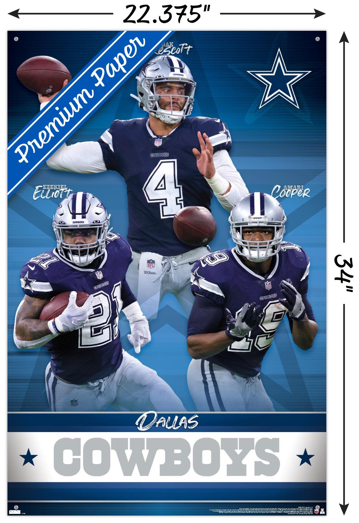 : Trends International NFL Dallas Cowboys- Logo 21 Wall