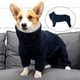 thumbnail image 3 of para perros mascota Chaqueta cálida suave Forro prueba Sunnimix Abrigos de perros, 3 of 8