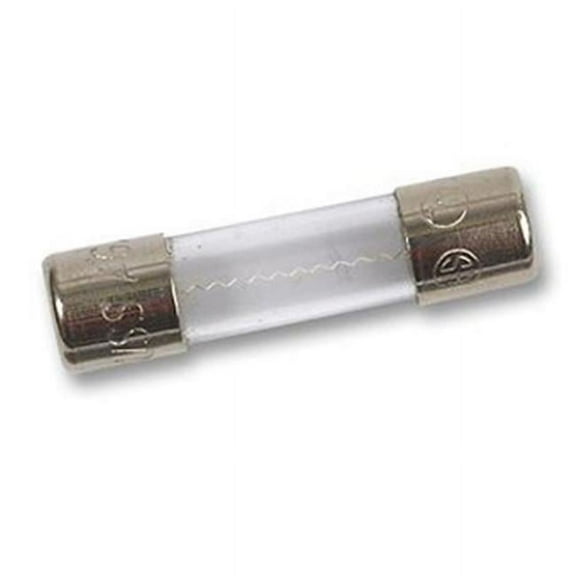 Fluke FLU830828 1Amp 600V Fuse