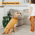 thumbnail image 2 of QBLEEV Recovery Suit for Dogs After Surgery, Alternative E-Collars Bandages, Professional Surgical Pet Wear Shirts for Abdominal Wounds and Skin Diseases, 2 of 7