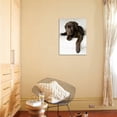 thumbnail image 4 of Chocolate Lab Puppy, Animals Unframed Photographic Print Wall Art by Jim Craigmyle Sold by ArtCom, 4 of 4