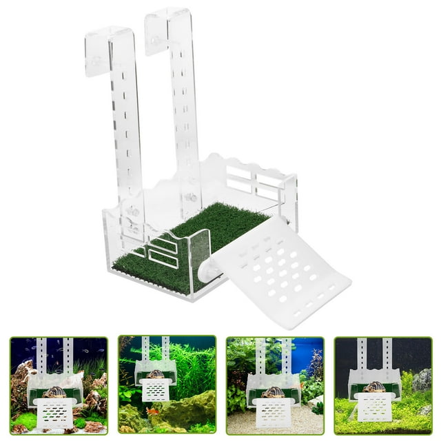 FUTUREORYY Lightweight Acrylic Turtle Ramp and Basking Platform for Aquatic Turtle Exercise and Decor