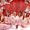 Red, variant on 5 Pcs Foil Fringe Curtain Backdrop - 3.28x6.56 Ft Red Metallic Tinsel Photo Booth Background for Wedding Birthday, Graduation Christmas Holiday Party Wall Decor