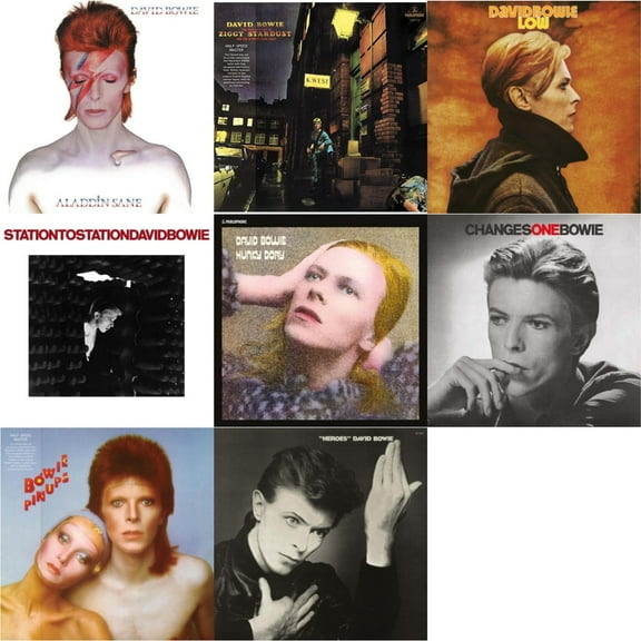 Aladdin Sane & Rise & Fall Of Ziggy Stardust & The Spiders From Mars (2012 Remaster/Half-Speed Master) & Low (2017 Remaster) & Station To Station (2016 Remastered Version) & Hunky [LP Vinyl Bundle]