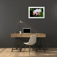 thumbnail image 3 of Spears, Don 18x13 White Modern Wood Framed Museum Art Print Titled - White, Yellow and Fuchsia Orchids, 3 of 4