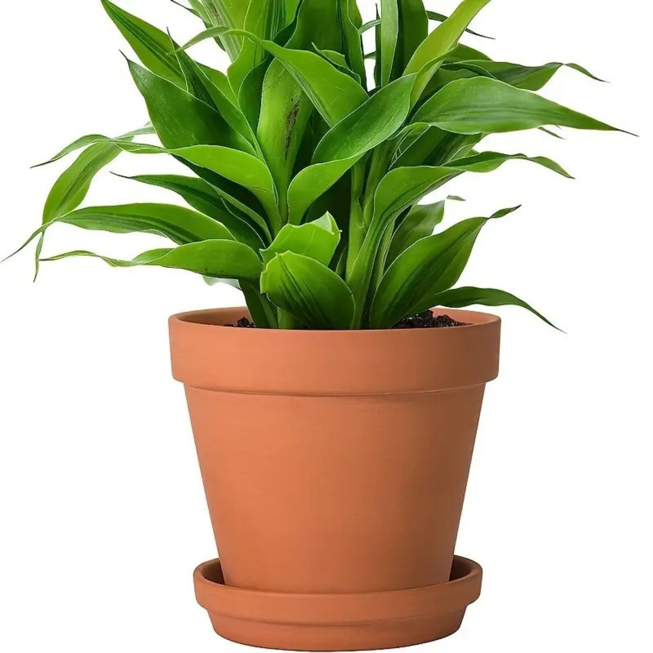 4pcs Terracotta Pots 4 Inch (4 Pack), Clay Pots for Plants with Drainage Hole and Saucer, Flower Pot with Tray, Large Terracotta Pot for Indoor Outdoor Plant