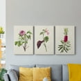 thumbnail image 5 of Pretty Pink Botanicals V Premium Gallery Wrapped Canvas - Ready to Hang - 32 x 48 Each, 5 of 10