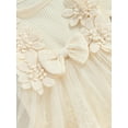 thumbnail image 6 of Newborn Baby Girls Romper Tulle Dress Long Sleeve Lace 3D Flower Bodysuit Jumpsuit Dress One Piece Fall Clothes 0-18M, 6 of 8
