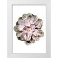 thumbnail image 1 of Artographie Studio 18x24 White Modern Wood Framed Museum Art Print Titled - Succulent Plant 01, 1 of 4