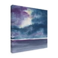 thumbnail image 2 of Trademark Fine Art 'The Clouds II' Canvas Art by Chris Paschke, 2 of 3