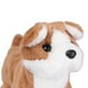 thumbnail image 5 of Set perro de peluche con estetica y transportadora y efectos de sonido y movimientos Play set  HC118, 5 of 5