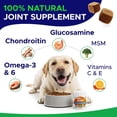 thumbnail image 3 of Glucosamine for Dogs Hip & Joint Supplement - Chondroitin, Omega-3, MSM - Joint Health & Pain Relief - Senior & Large Dogs - Made in USA - 120 Mobility Chews, 3 of 8