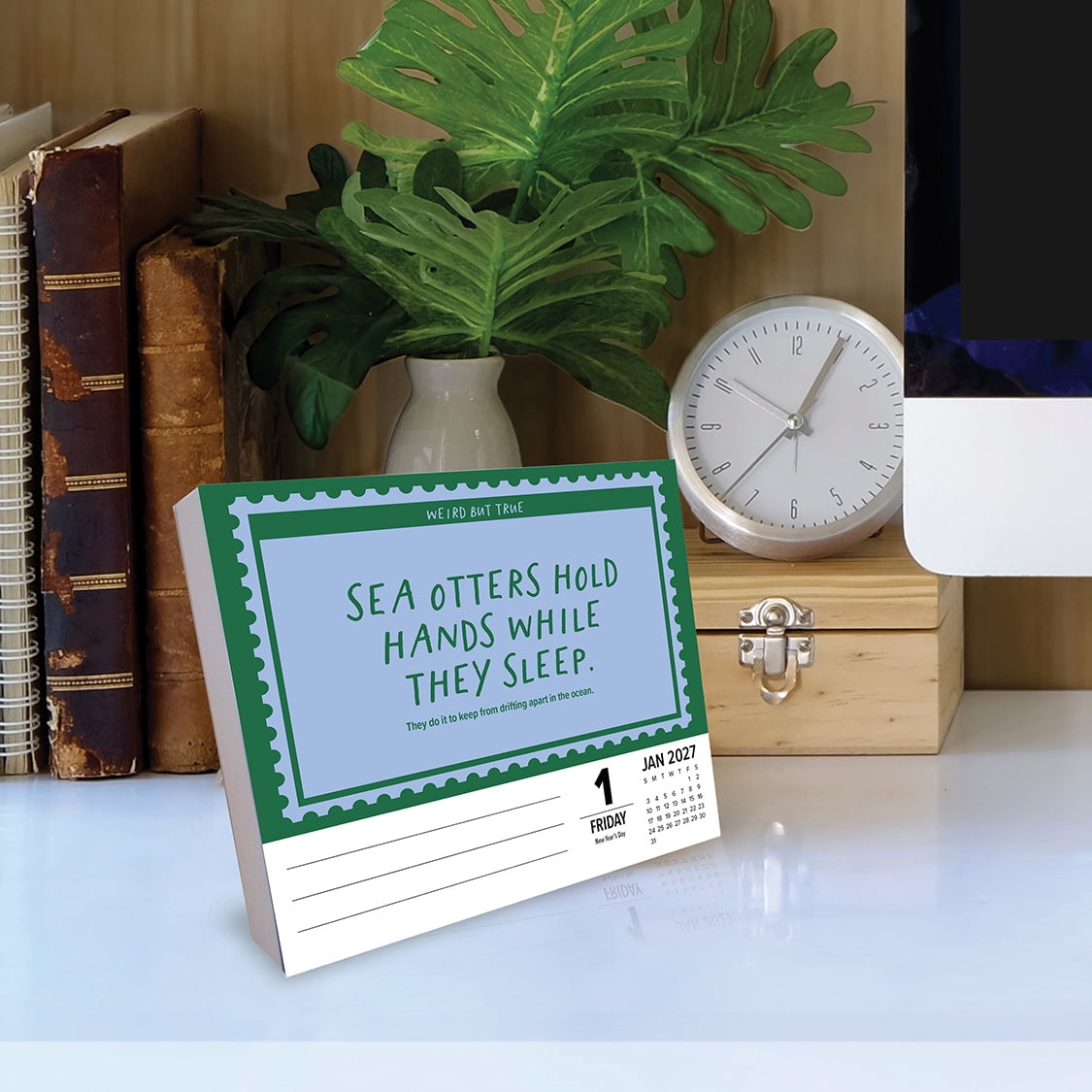 Willow Creek Press, 365 Days of Random 2027 Box Calendar