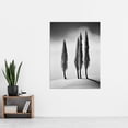 thumbnail image 2 of Group of Cypress Trees on Snowy Hill Minimalist Black and White Photograph Cypresses in Foggy Winter Landscape Extra Large XL Wall Art Poster Print, 2 of 4