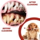 thumbnail image 4 of Cepillo de Dientes para Perros y Gatos Cerdas Suaves y Cabeza Doble Antideslizante, 4 of 9