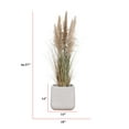 thumbnail image 3 of Tall Faux Pampas Grass | 66.57” Tall grass in a beige planter | Vintage Home, 3 of 8